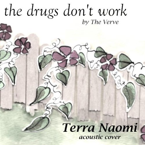 The Drugs Don't Work - Single