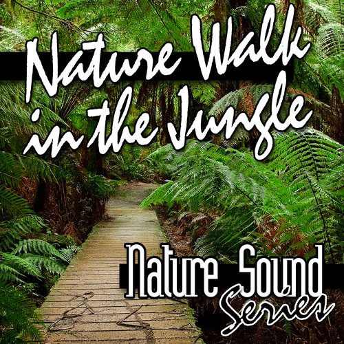 Nature Walk in the Jungle (Nature Sounds)