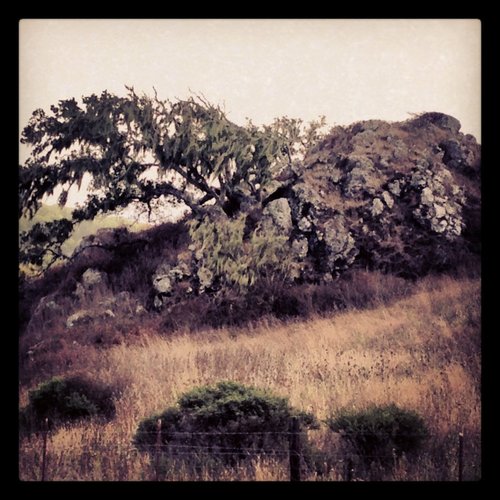 Orogeny