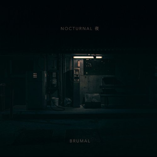 Nocturnal 夜