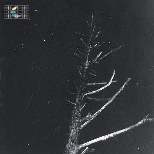 (Colours of the Night) Satellite