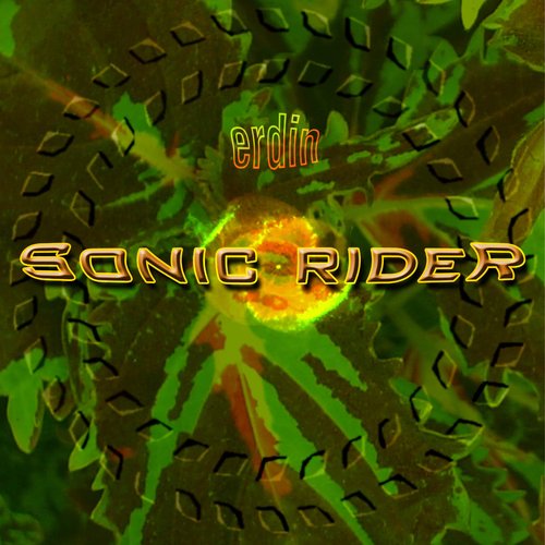 sonic rider
