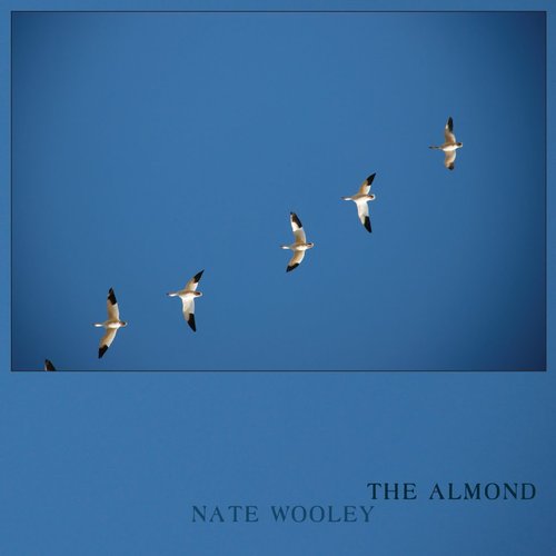 The Almond