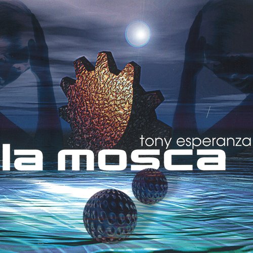 la mosca