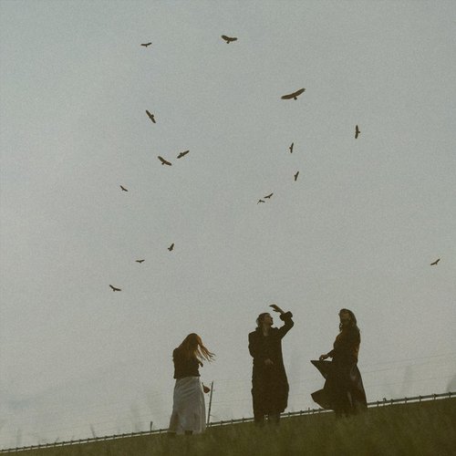 The Birds Aren't Migrating Like They're Supposed To