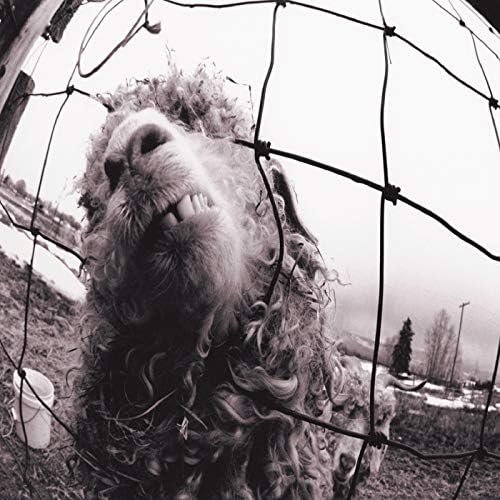 Vs. Expanded Edition (3 Bonus Tracks) [Explicit]