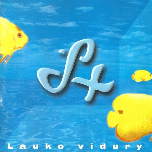 Lauko Vidury