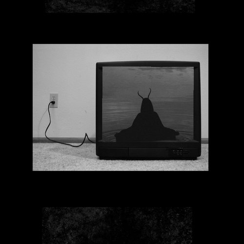 Replicate
