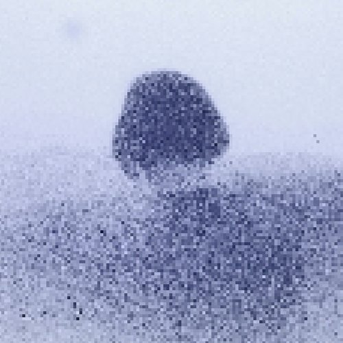 Disconnect