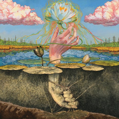 Phototroph [Explicit]