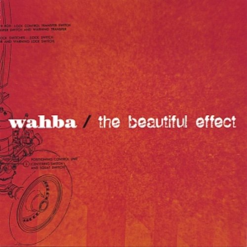 the beautiful effect