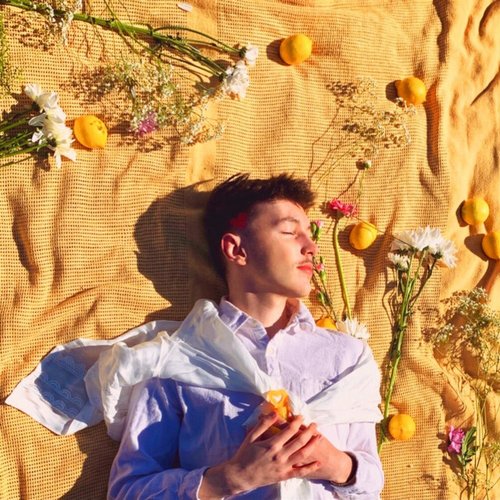 The Lemon Tree - Single