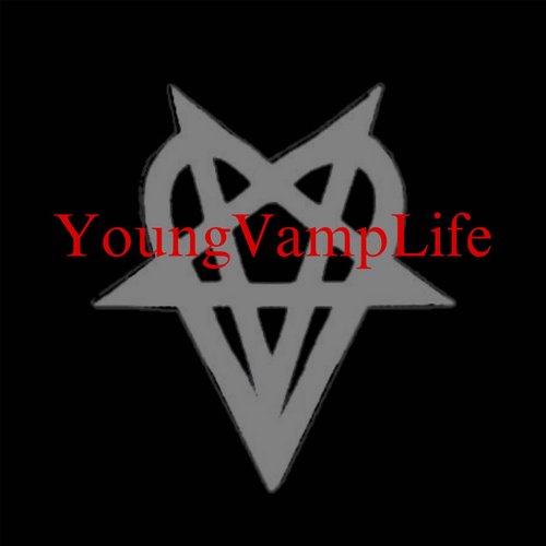 Vamp Diary 1