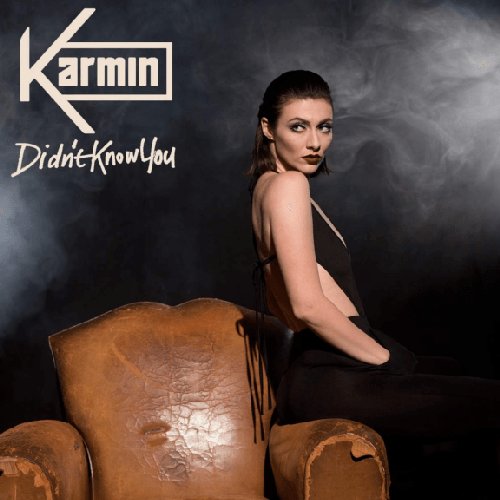 Didn't Know You - Single