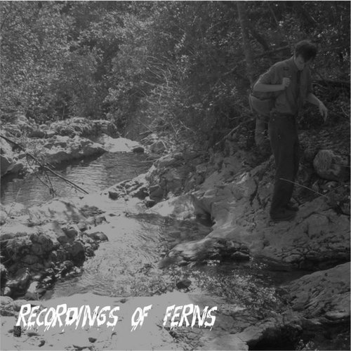 Recordings of Ferns