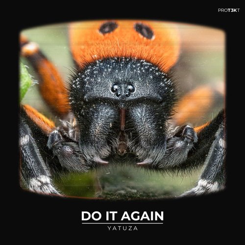 Do It Again