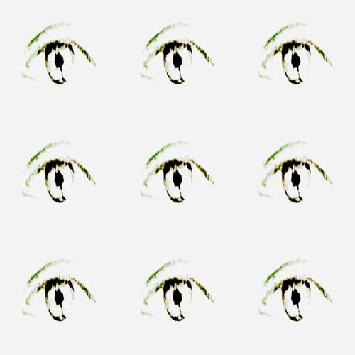 OBSERVE