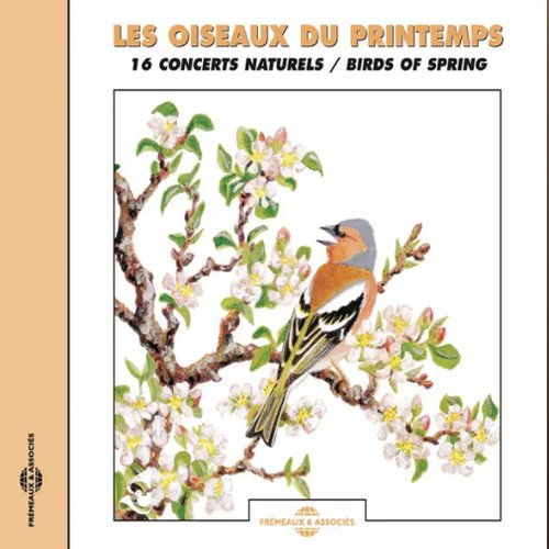 Birds Of Spring