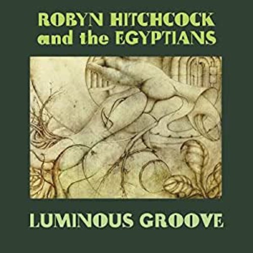 Luminous Groove Box Set Sampler