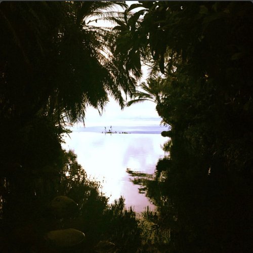 Lucid Dreams - Single