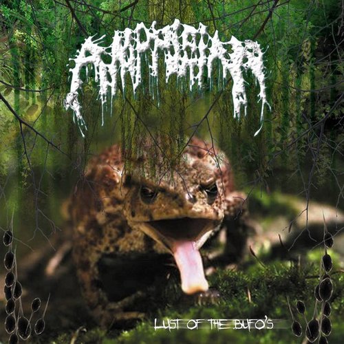 Lust Of The Bufo's