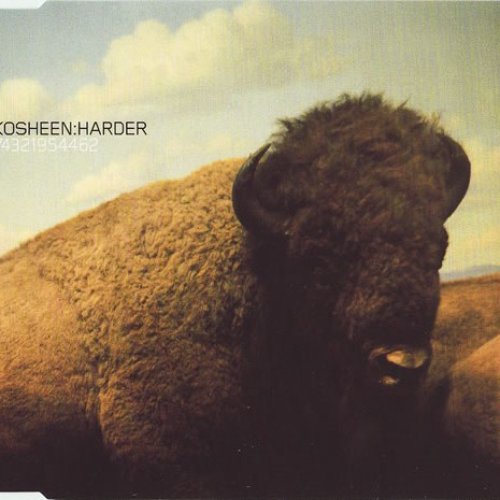 Harder (disc 2)