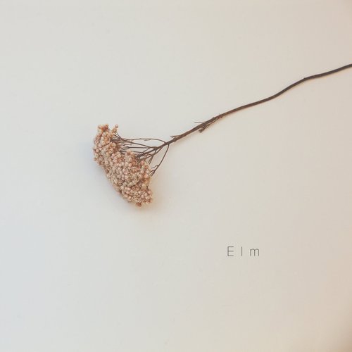 Elm - Single