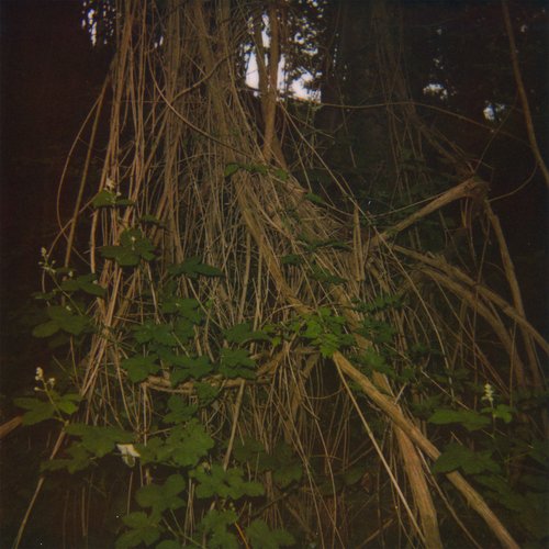 Stanza I​-​III