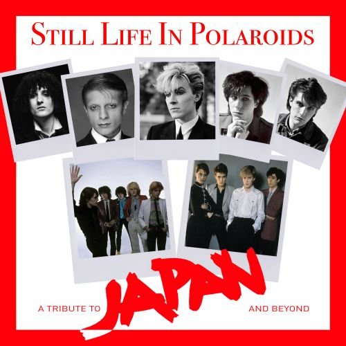 Still Life in Polaroids (A Tribute to the works of Japan and Beyond)