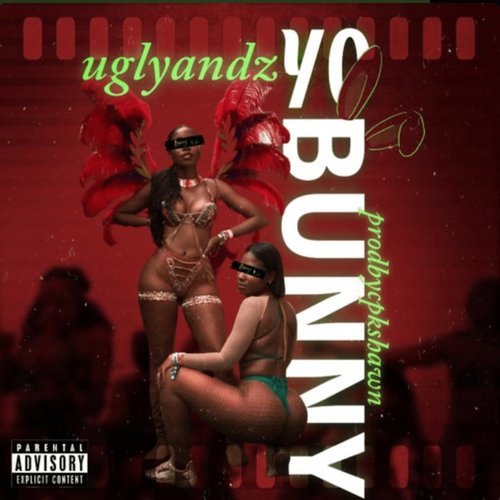 Yo Bunny