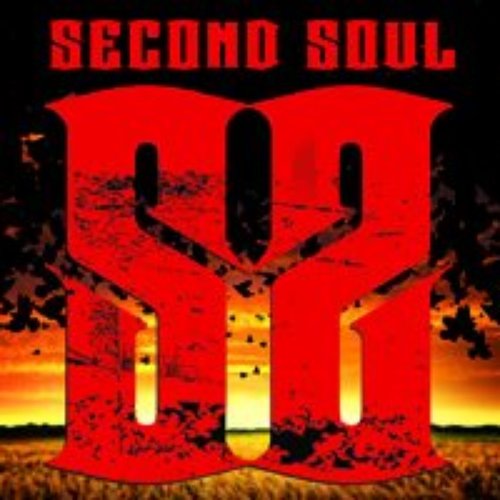Soul Witness