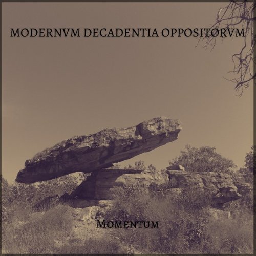 Momentum