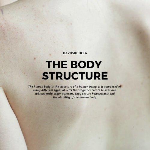 Body Structure