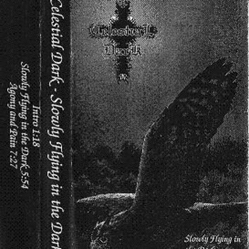 Slowly Flying in the Dark