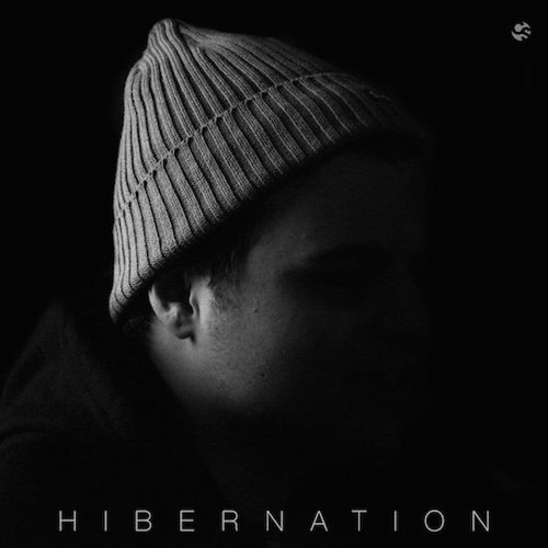 Hibernation