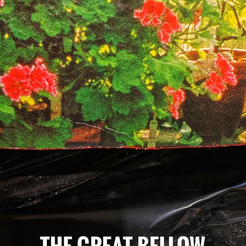 The Great Bellow