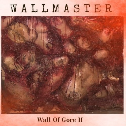 Wall of Gore II
