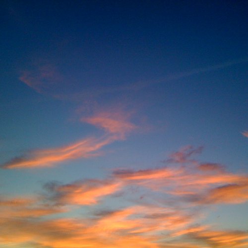 Distant Voices