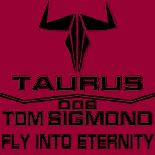 Fly Into Eternity