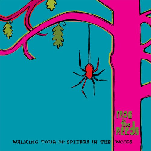 Walking Tour of Spiders in the Woods