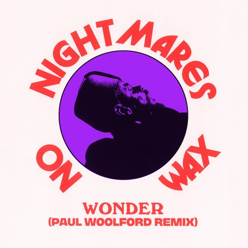 Wonder (Paul Woolford Remix) - Single