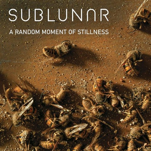 A Random Moment of Stillness