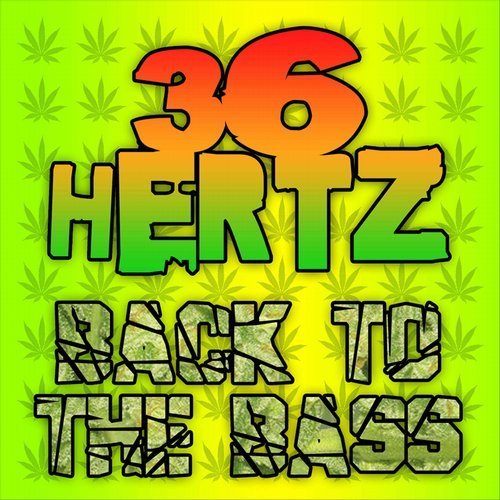 Back To The Bass