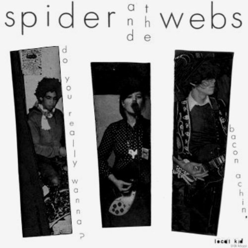 Spider And The Webs