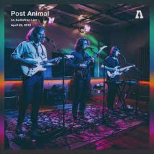Post Animal on Audiotree Live