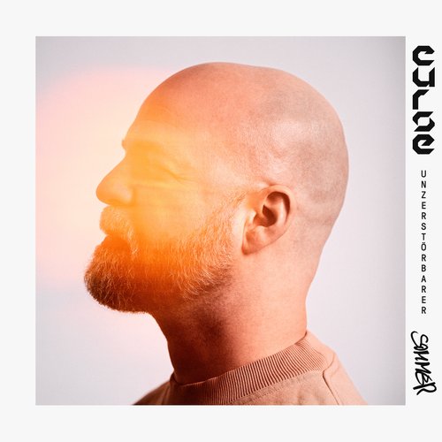 Unzerstörbarer Sommer [Explicit]