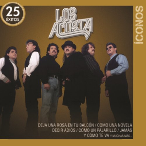Íconos 25 Éxitos