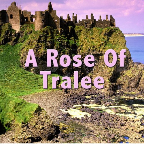 A Rose of Tralee