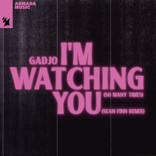 I'm Watching You (So Many Times) (Sean Finn Remix)