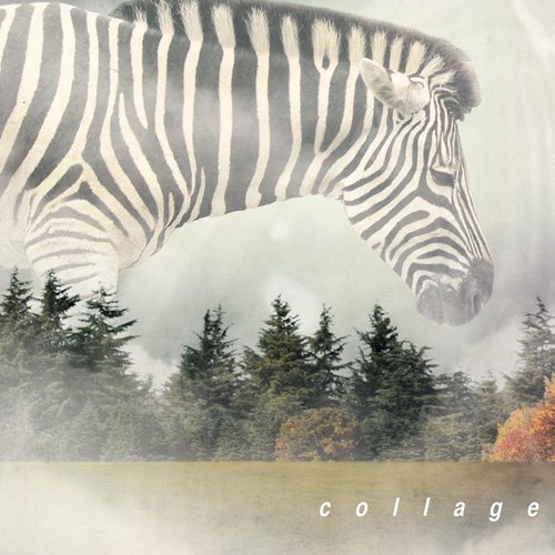 Collage